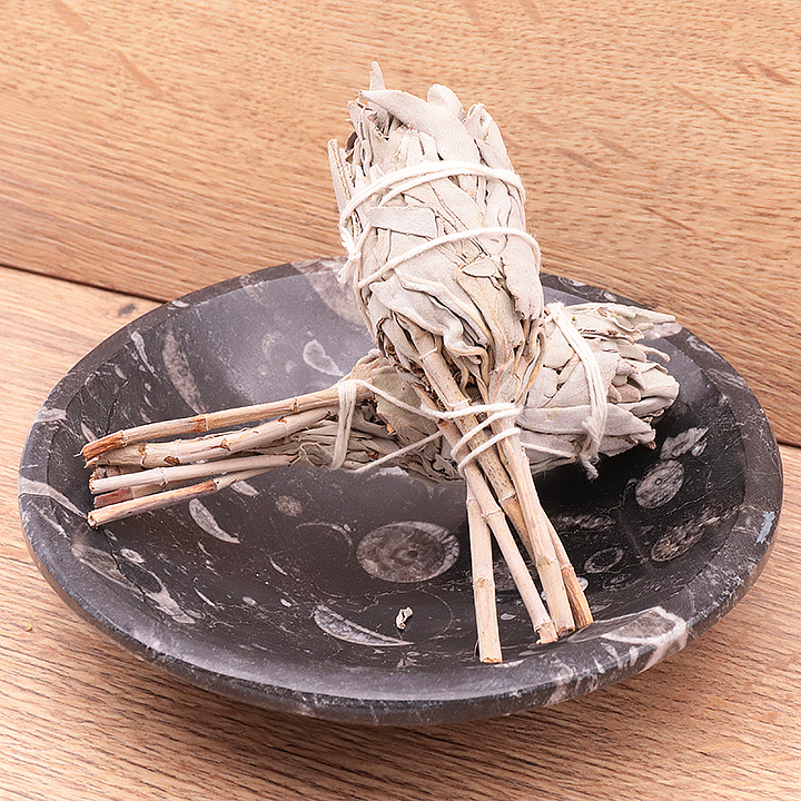 Bâton de sauge – forme torche